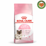 غذای خشک مادر و بچه گربه رویال کنین Royal Canin Mother & Babycat