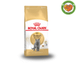 غذای خشک گربه مو کوتاه نژاد بریتیش رویال کنین Royal Canin Adult British ShortHair