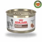 کنسرو سگ و گربه رویال کنین ریکاوری recovery
