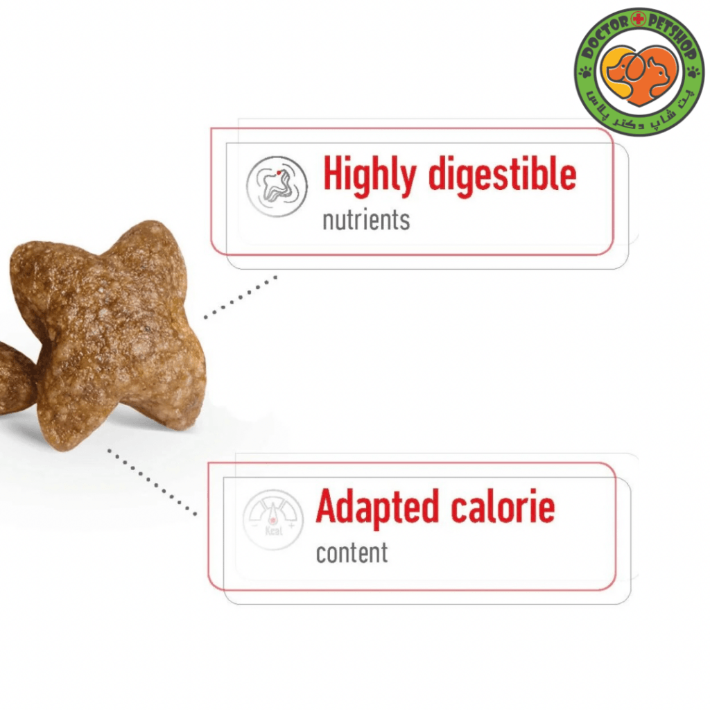غذای خشک سگ بالغ نژاد کوچک رویال کنین Royal Canin Mini Adult
